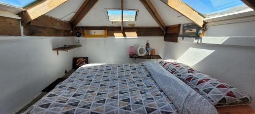 een slaapkamer met een bed in een kamer met ramen bij Climbing Suite with sky windows ! in Santa Cruz de Tenerife