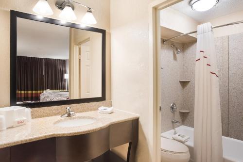 a bathroom with a sink and a mirror and a toilet at Red Roof Inn Baltimore South Glen Burnie in Glen Burnie