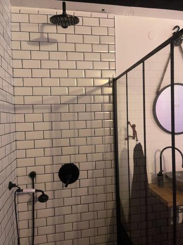 La salle de bains est pourvue d'une douche et d'un miroir. dans l'établissement Apt 35 m2 Baignoire Balnéo terrasse privée, à Amfreville-la-Mi-Voie