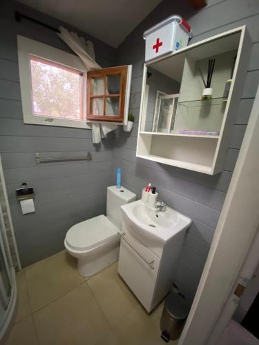a bathroom with a white toilet and a sink at Desconexión y paz, cabaña en la sierra in Albalate de Zorita