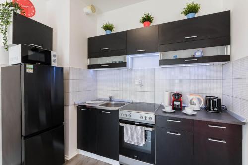 Kuchyňa alebo kuchynka v ubytovaní New Blue Danube Apartment with Balcony and Parking