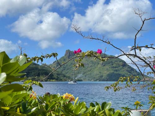 a view of a lake with a boat in the water at Huahine Beach House in Fare
