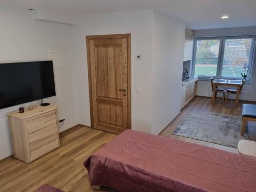 TV a/nebo společenská místnost v ubytování Neris apartments