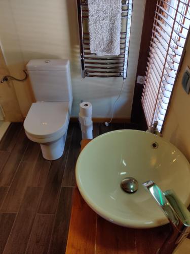 a bathroom with a white toilet and a sink at Spacious Ski Chalet In Traditional French Village, sleeps 8, Four Star with fibre broadband in Abondance