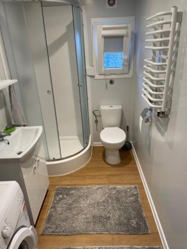 uma casa de banho com um chuveiro, um WC e um lavatório. em Holiday Home Tettnang Walchesreute em Tettnang