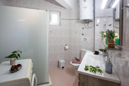 a bathroom with a sink and a toilet at Holiday House Ioanna in Nea Peramos
