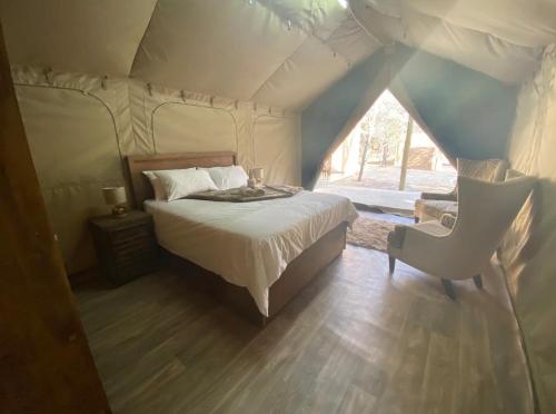 1 dormitorio con 1 cama y 1 silla en una tienda de campaña en Vlakkieskraal Farmstay - Nyala Tented Camp, en Bela-Bela