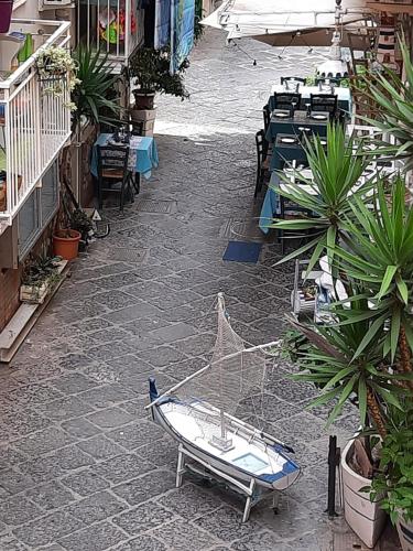 Φωτογραφία από το άλμπουμ του MOONLIGHT HOUSE στο Ποτσουόλι
