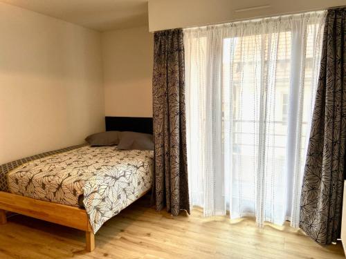 1 dormitorio con cama y ventana grande en Studio le pied de Bœuf en Wissembourg