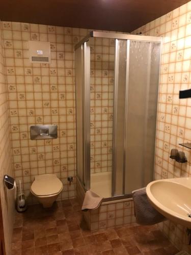 La salle de bains est pourvue d'une douche, de toilettes et d'un lavabo. dans l'établissement Pony-Ziegen-Hasen-Ranch Bichlbach, à Bichlbach