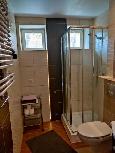 a bathroom with a shower and a toilet at Mieszkanie / Apartament centrum blisko szlaków i wyciągów !!! in Szklarska Poręba