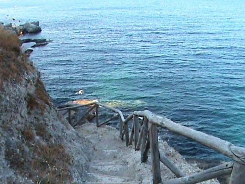 a wooden staircase leading to the water near the ocean at Terratetto Indipendente Capraia in Capraia