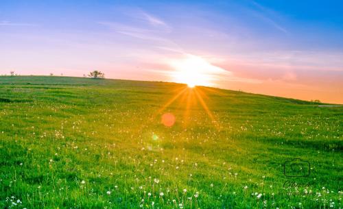 a field of green grass with the sunset in the background at Holiday home Maša - Kupres in Kupres