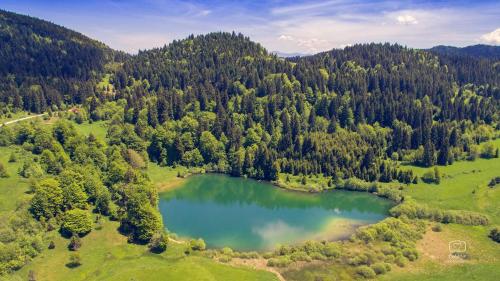an aerial view of a lake in a forest at Holiday home Maša - Kupres in Kupres