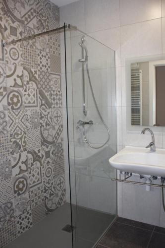 ein Bad mit einer Dusche und einem Waschbecken in der Unterkunft Apartamentos CAN GUSI in Ribes de Freser