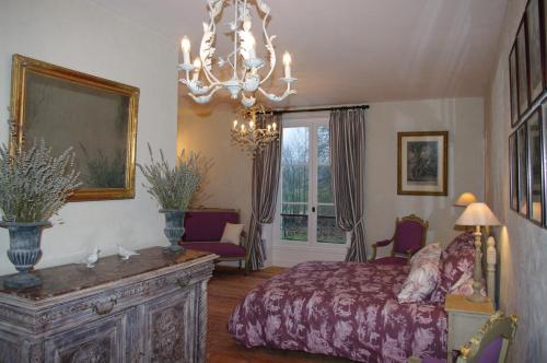 1 dormitorio con cama y lámpara de araña en Château de Pommeuse, en Pommeuse