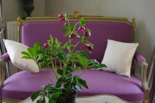 a purple chair with a potted plant on a table at Château de Pommeuse in Pommeuse