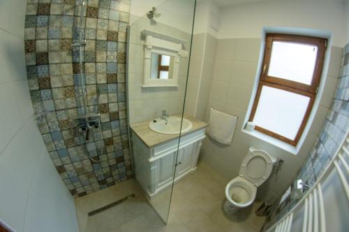 a bathroom with a toilet and a sink and a shower at Átalvetős Agropanzió in Morăreni