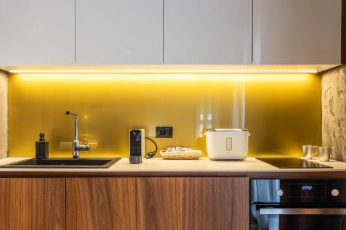 a kitchen with a counter with a sink and a toaster at Bella Roe Premium Apartments in Belgrade