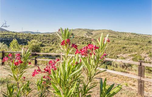 a bunch of pink flowers in front of a fence at Stunning Home In Les Coves De Vinromá in Les Coves de Vinroma