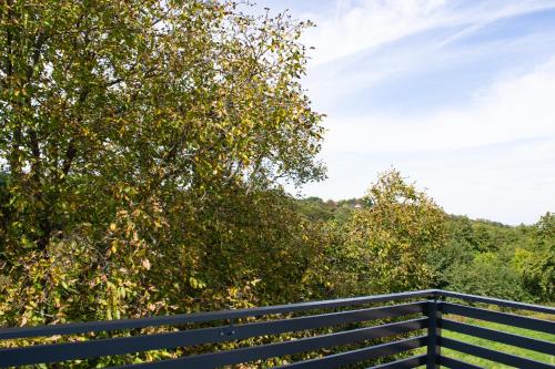 a black fence with trees in the background at Kraljeva hiža - Apartmani i sobe Kralj in Sveti Martin na Muri