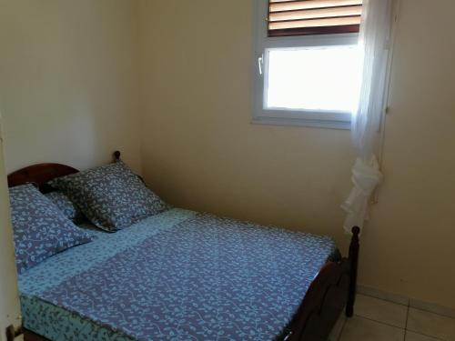 1 dormitorio con cama con sábanas azules y ventana en Villa Rose & F, en Sainte-Anne