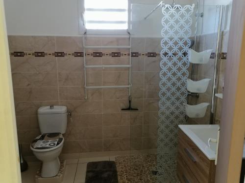 a bathroom with a shower and a toilet and a sink at Villa Rose & F in Sainte-Anne