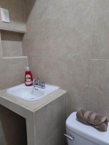 a bathroom with a sink and a toilet at Casa en Mahahual cerca de la playa D3 in Mahahual