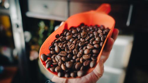 a person holding a bowl of coffee beans at Hotel Mucuy in Mérida