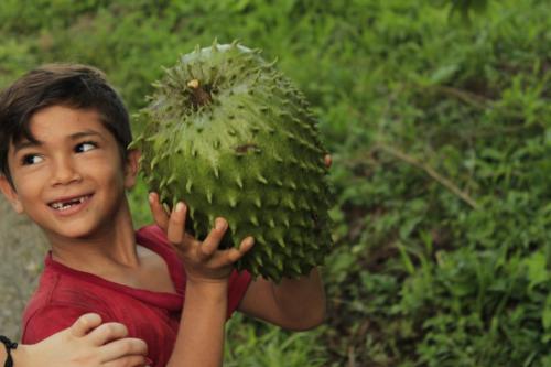 a young child is holding a cactus at Sabalo Lodge Tours and Cabins in Sierpe