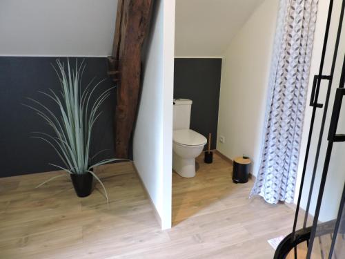 een badkamer met een toilet en een potplant bij L'échappée belle 