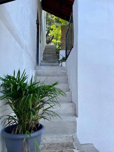 Φωτογραφία από το άλμπουμ του Studio Marietas # σε Sayulita