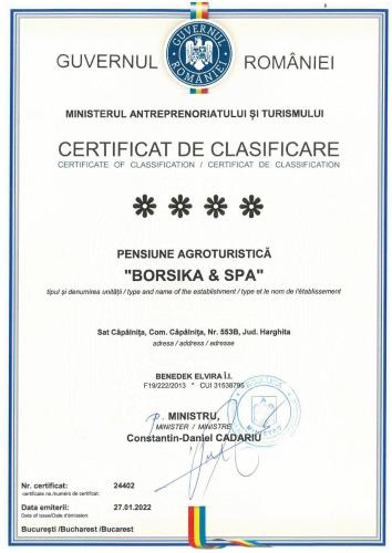 BORSIKA PENSIUNE & SPA – Photos 2