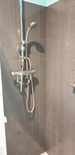 a shower with a shower head in a bathroom at Le Paradis des Fleurs in Le Tréport