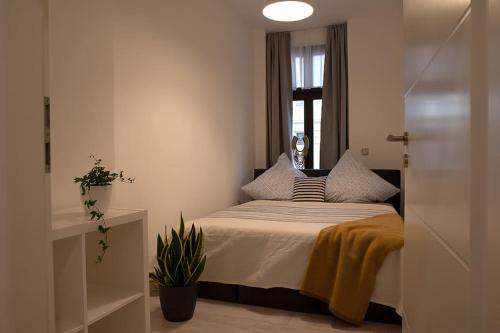 een slaapkamer met een bed met kussens en een raam bij NEU Luxus-Wasserbett-SmartTV-Terrasse-2Schlafzimmer in Maagdenburg