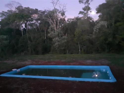 ein Schwimmbad in der Mitte eines Gartens in der Unterkunft Yateí-house in El Soberbio