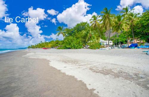 a sandy beach with palm trees and the words la cartilli at LODGE PAMPLEMOUSSE avec PISCINE privative , dans parc calme à 500 m plage in Le Carbet