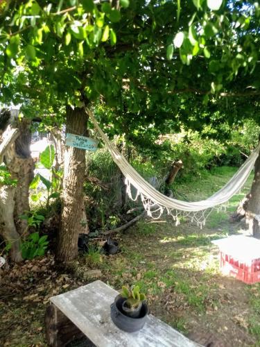 a hammock hanging from a tree in a park at la Casa de Susana in Tafí del Valle