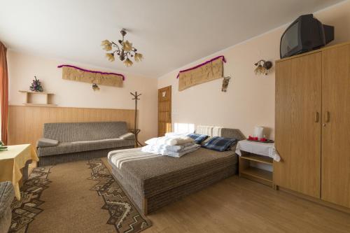a bedroom with a bed and a couch and a television at Domek Pod Reglami in Zakopane