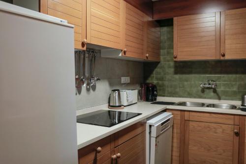 a kitchen with wooden cabinets and a sink and a refrigerator at Morera Pas de la Casa, Andorra in Pas de la Casa