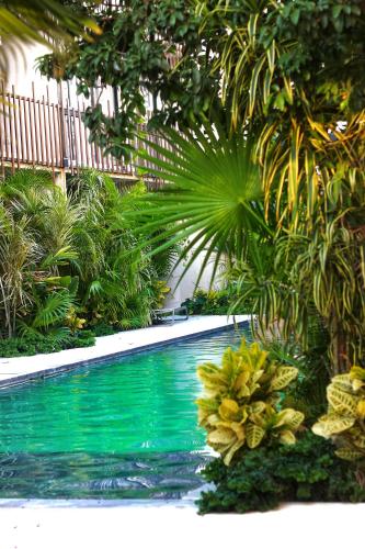 a swimming pool in a garden with palm trees at Heart & Soul PH Suite Tulum in Tulum