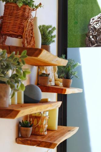 a bunch of potted plants sitting on wooden shelves at Heart & Soul PH Suite Tulum in Tulum