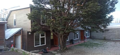 une maison avec un arbre en face dans l'établissement Departamentos Carrera Nro 1, à Punta Arenas