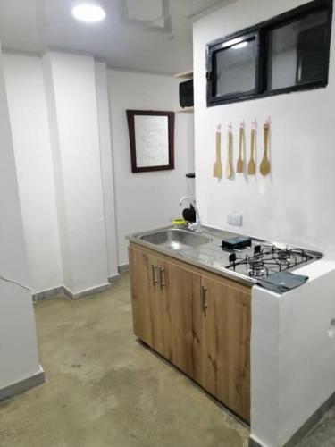 Кухня или мини-кухня в Apartamento 103 entero todo incluido Edificio A2
