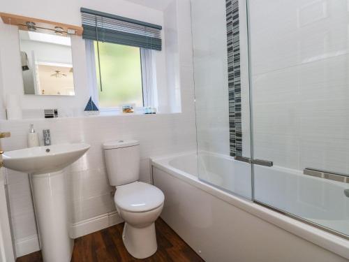 a white bathroom with a toilet and a sink at Yacht Haven View in Milford Haven