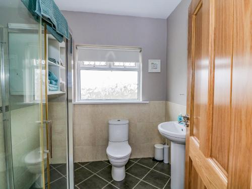 a bathroom with a toilet and a sink and a window at Rockwood Cottage in Wexford