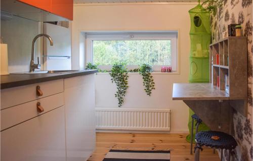 Ett kök eller pentry på Beautiful Apartment In Rdeby With Kitchen