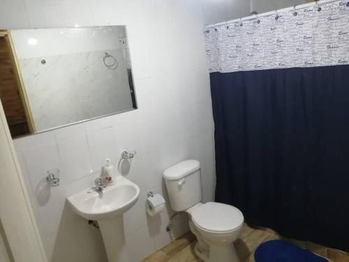 a bathroom with a white toilet and a sink at Agradable Cabaña con Gran Piscina y Tinaja in Quillón