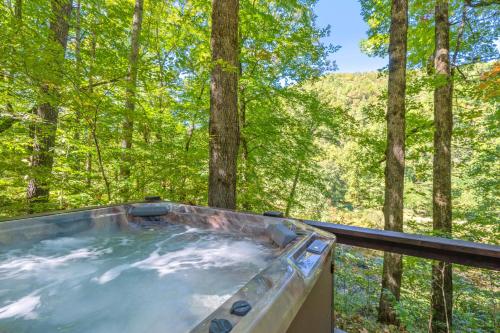 Hawks Holler – Photos 2