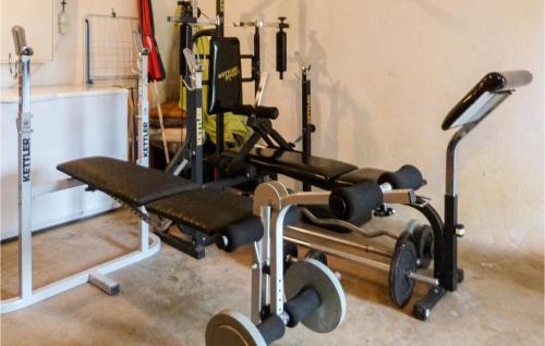 Fitness centrum a/nebo fitness zařízení v ubytování Gorgeous Home In Goldlauter-Heidersbach
